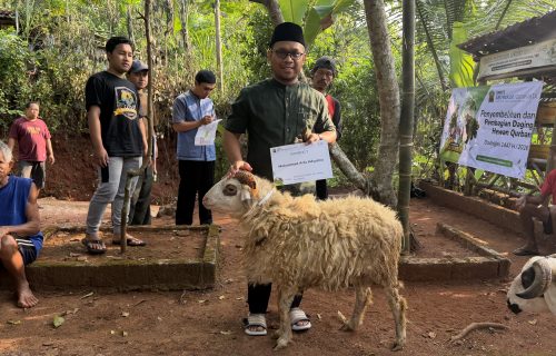 IDUL ADHA 1447 H: SMPIT ABU BAKAR GELAR BAKSOS KKD DI GUNUNG KIDUL DAN BANTUL